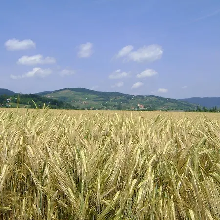Merkez Smještaj na farmi *