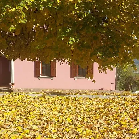 Merkez Farm stay *