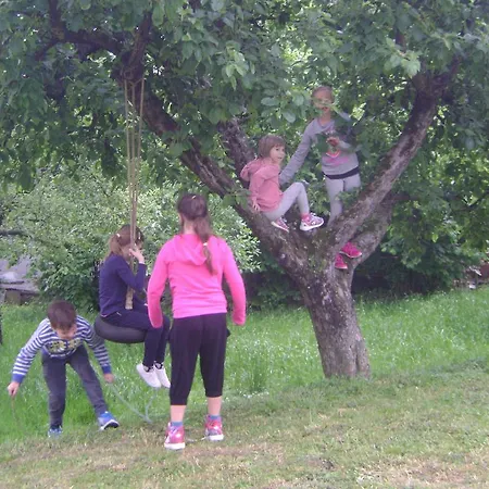 Merkez Bizeljsko