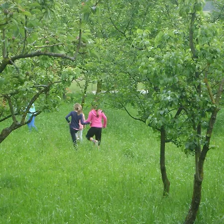 Farm stay Merkez