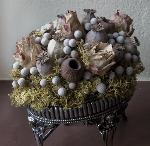 Alojamento de Turismo Rural Merkez *