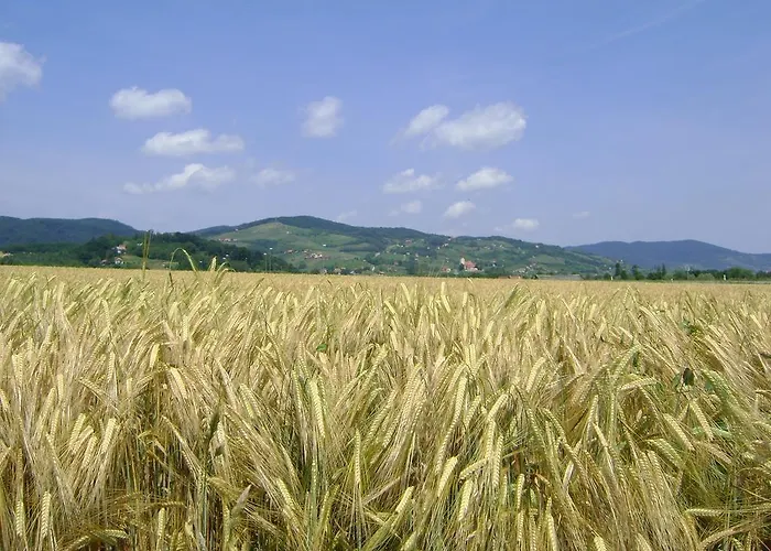 Merkez Alojamento de Turismo Rural *