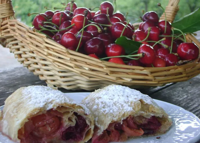 Merkez Alojamento de Turismo Rural Bizeljsko