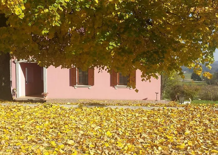 Merkez Alojamento de Turismo Rural *