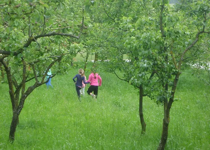 Vakantieboerderij Merkez