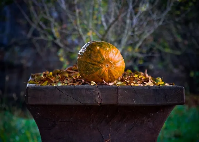Alojamento de Turismo Rural Merkez